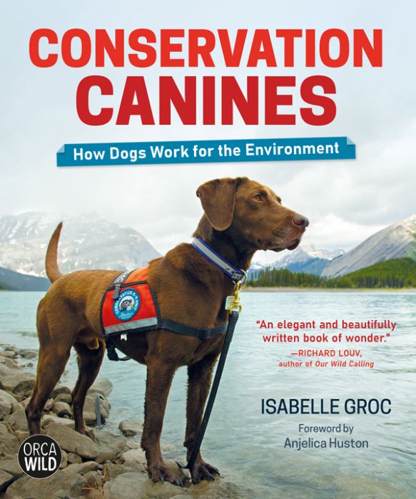 https://images-cdn.juniorlibraryguild.com/catalog/product/cache/84c8b666726aa0ca7e40f0da7f56800f/H/I/HINp_Conservation_20Canines_1.jpg