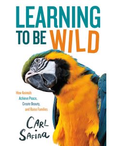 Learning to Be Wild (A Young Reader's Adaptation): How Animals Achieve Peace, Create Beauty,  and Raise Families